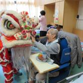Chinese new year celebration