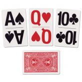 Large print play card