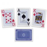 Braille play card