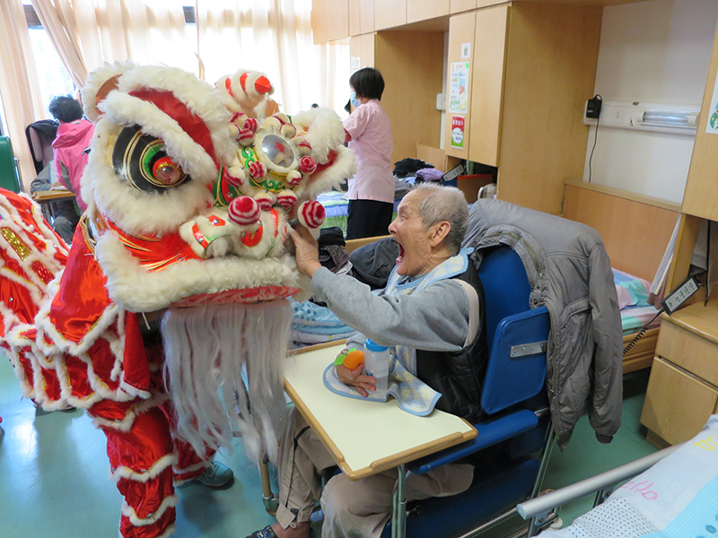 Chinese new year celebration
