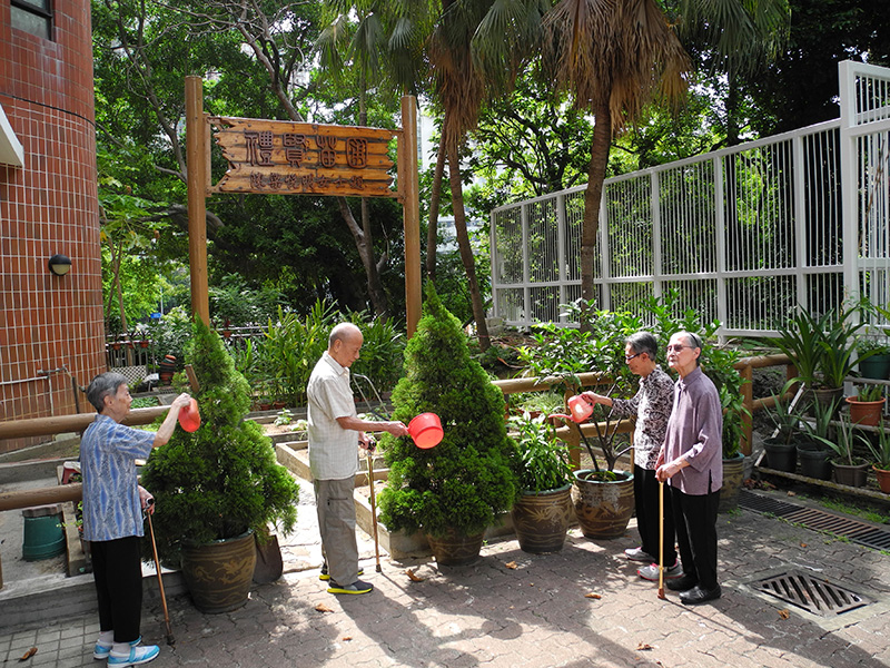 Garden