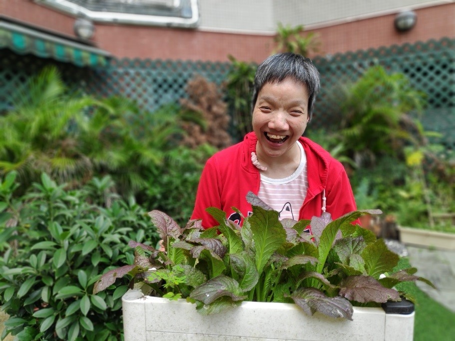 The use of “gardening” to develop leisure activities