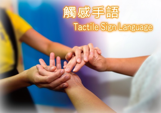 Tactile Sign Language